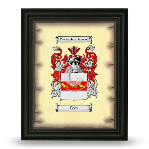 Feet Coat of Arms Framed - Black