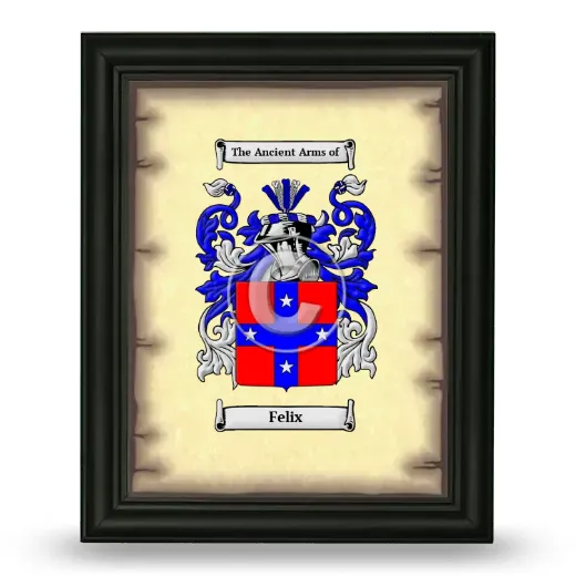 Felix Coat of Arms Framed - Black