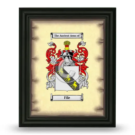 File Coat of Arms Framed - Black