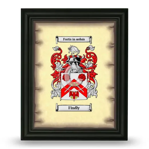 Findly Coat of Arms Framed - Black