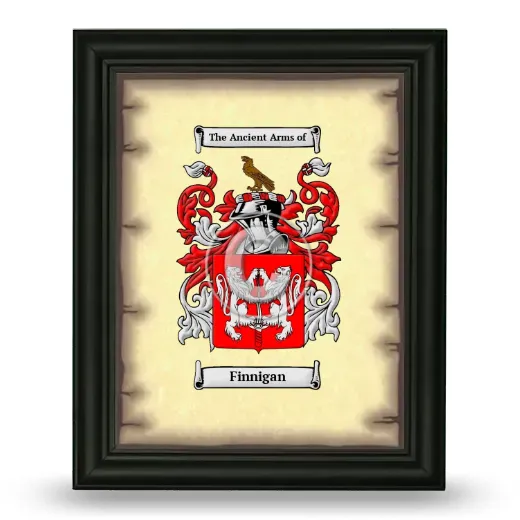 Finnigan Coat of Arms Framed - Black