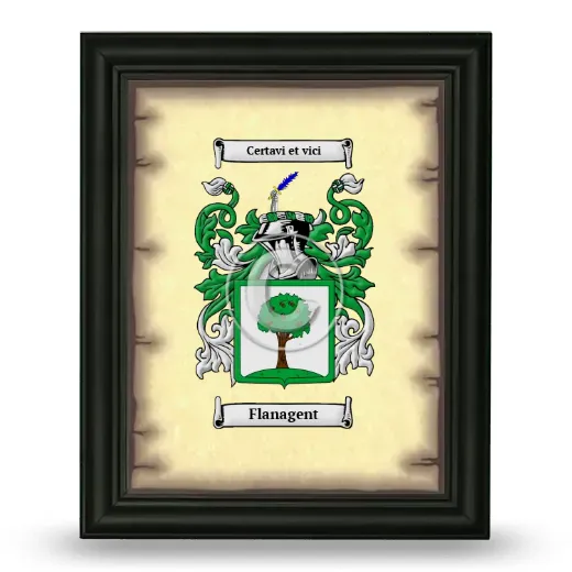 Flanagent Coat of Arms Framed - Black