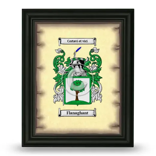 Flanaghant Coat of Arms Framed - Black