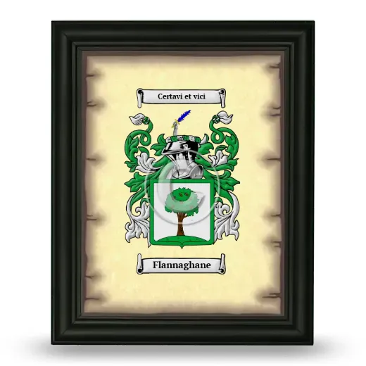 Flannaghane Coat of Arms Framed - Black