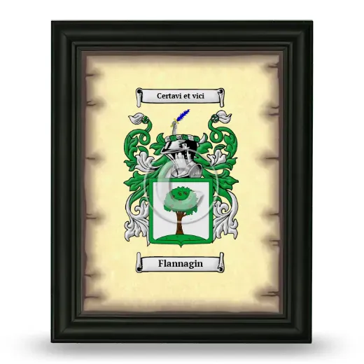 Flannagin Coat of Arms Framed - Black
