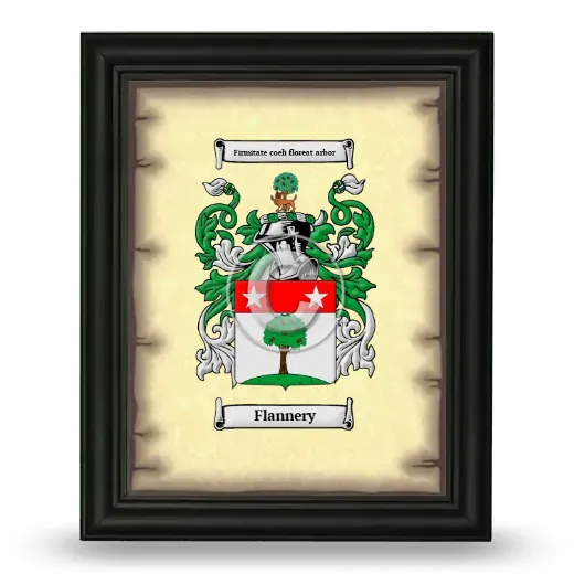 Flannery Coat of Arms Framed - Black