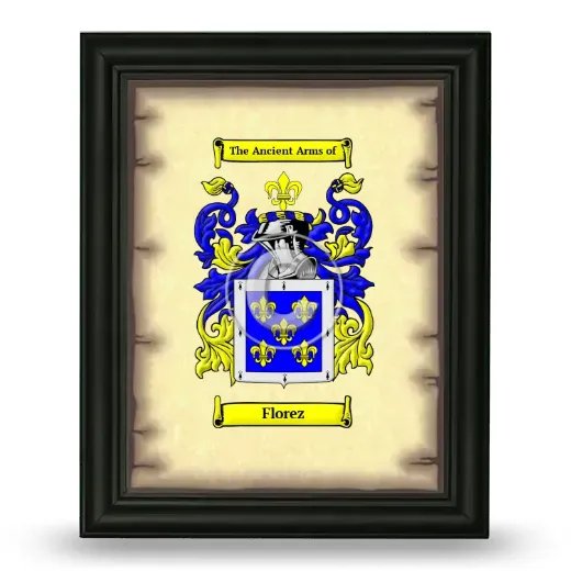 Florez Coat of Arms Framed - Black