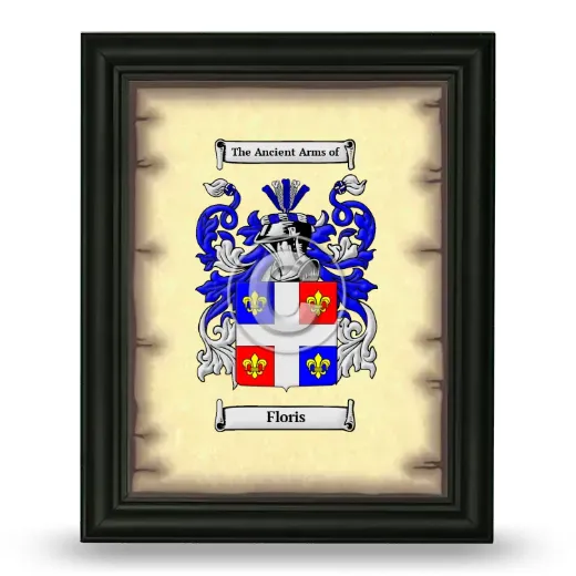 Floris Coat of Arms Framed - Black