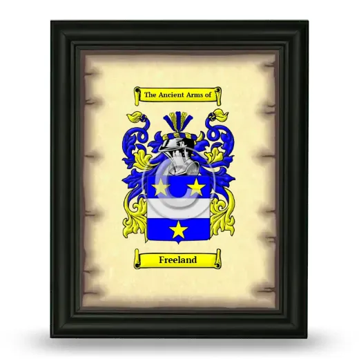 Freeland Coat of Arms Framed - Black