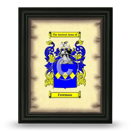 Freeman Coat of Arms Framed - Black