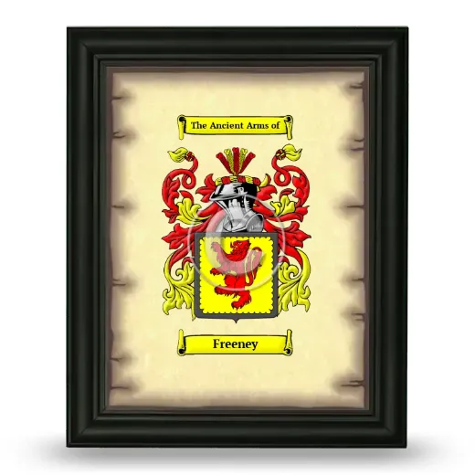 Freeney Coat of Arms Framed - Black