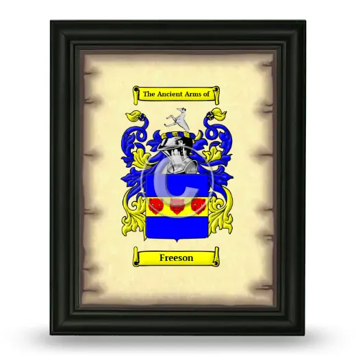 Freeson Coat of Arms Framed - Black