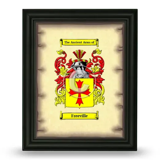 Freeville Coat of Arms Framed - Black