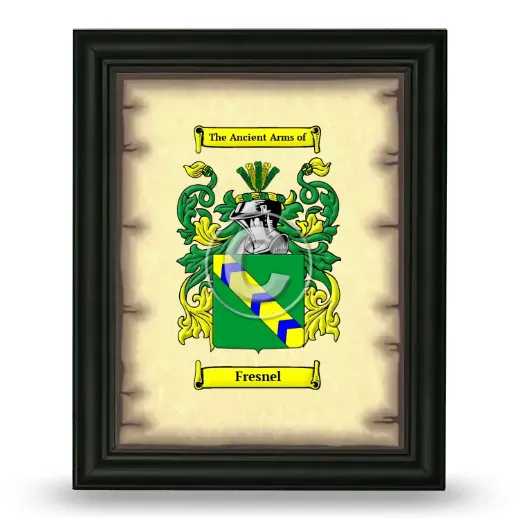 Fresnel Coat of Arms Framed - Black