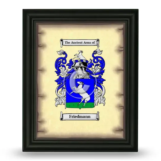 Friedmann Coat of Arms Framed - Black