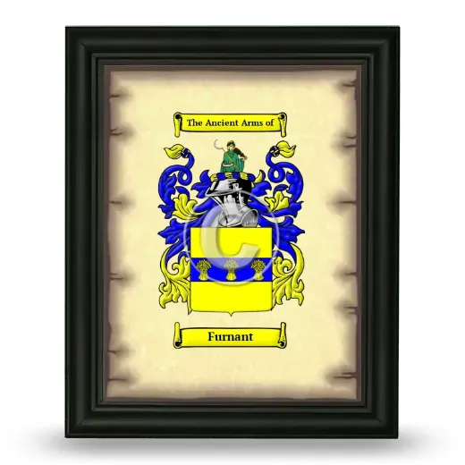 Furnant Coat of Arms Framed - Black