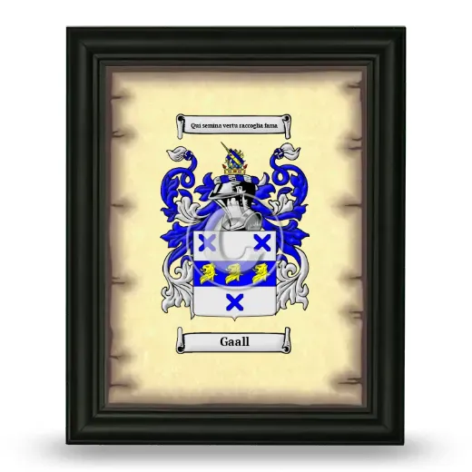 Gaall Coat of Arms Framed - Black