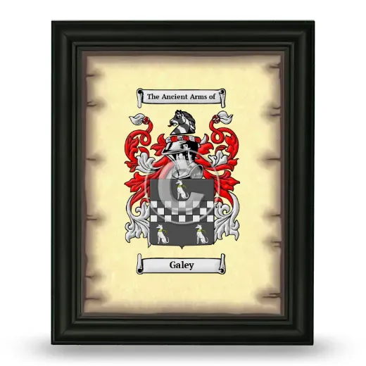 Galey Coat of Arms Framed - Black