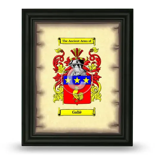Galiè Coat of Arms Framed - Black