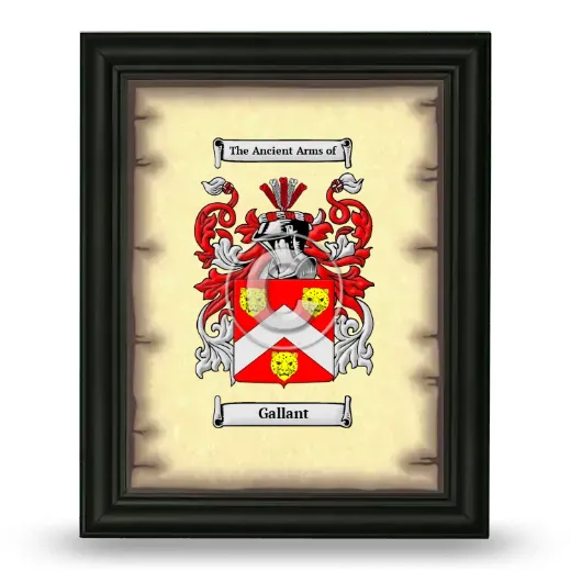 Gallant Coat of Arms Framed - Black