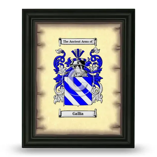 Gallia Coat of Arms Framed - Black