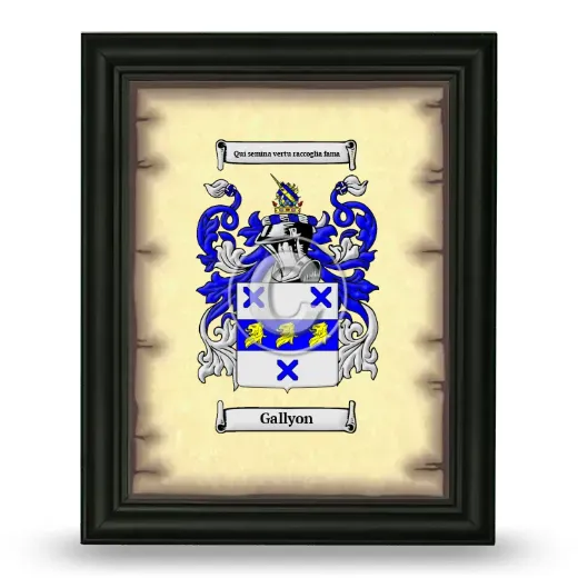 Gallyon Coat of Arms Framed - Black