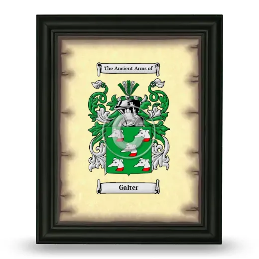 Galter Coat of Arms Framed - Black