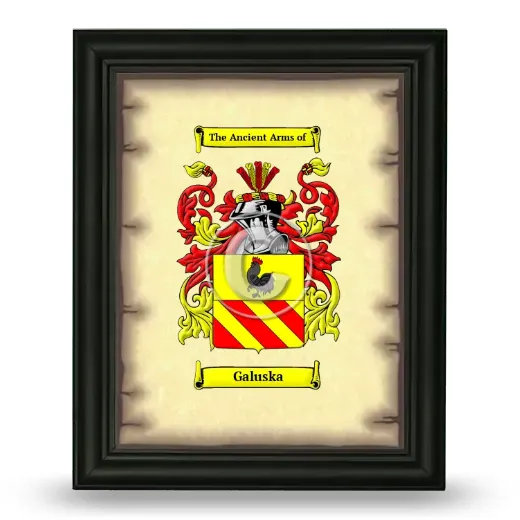 Galuska Coat of Arms Framed - Black