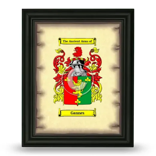 Gannes Coat of Arms Framed - Black