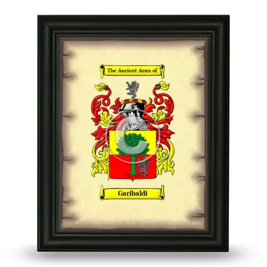 Garibaldi Coat of Arms Framed - Black