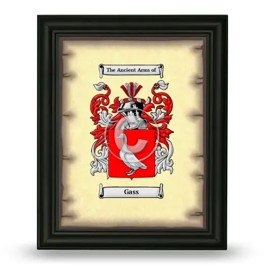 Gass Coat of Arms Framed - Black