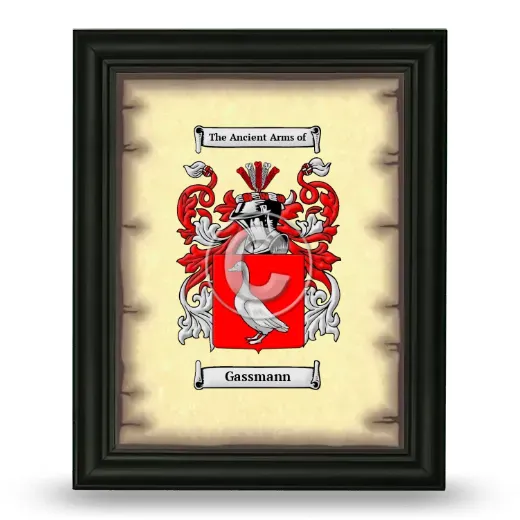 Gassmann Coat of Arms Framed - Black