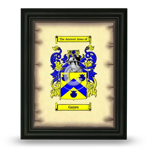 Gayes Coat of Arms Framed - Black