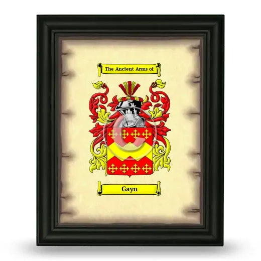 Gayn Coat of Arms Framed - Black