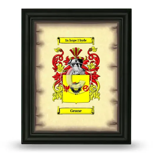 Geane Coat of Arms Framed - Black