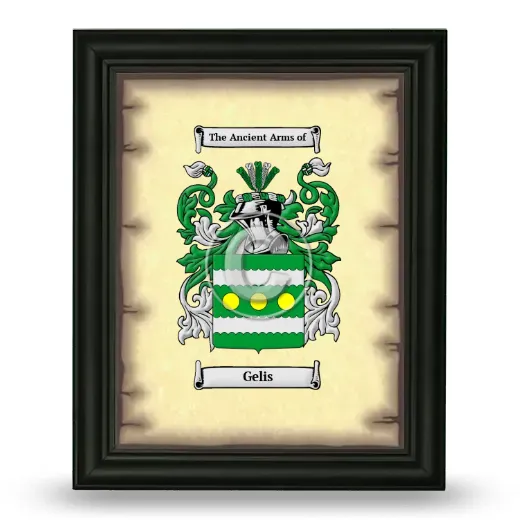 Gelis Coat of Arms Framed - Black