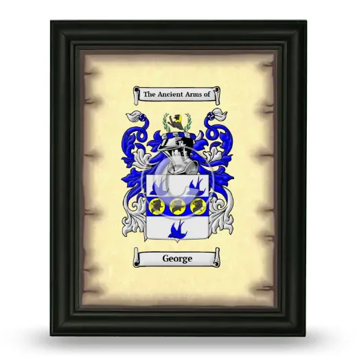 George Coat of Arms Framed - Black
