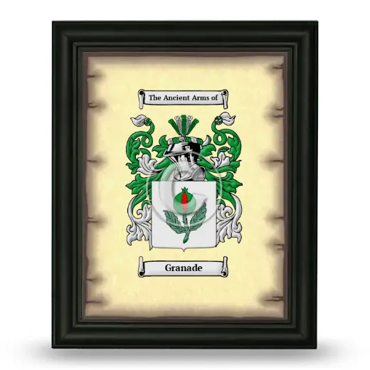 Granade Coat of Arms Framed - Black