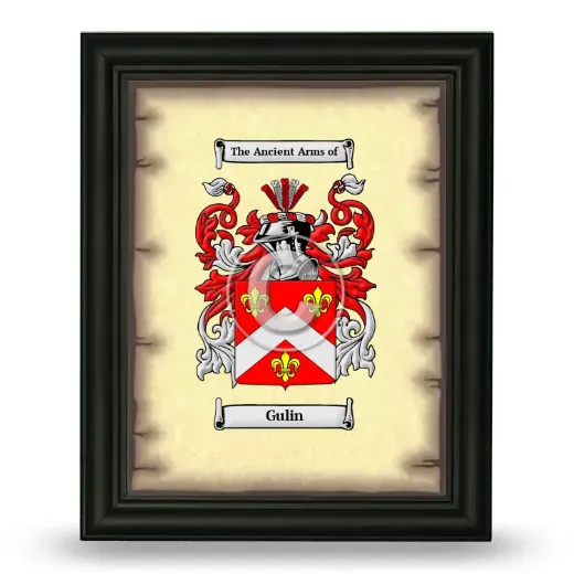 Gulin Coat of Arms Framed - Black