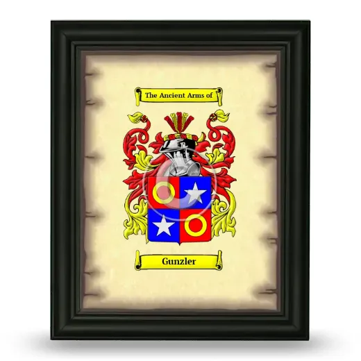 Gunzler Coat of Arms Framed - Black