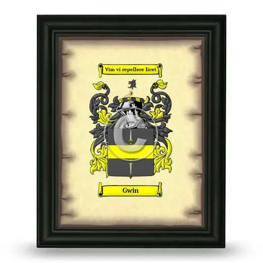 Gwin Coat of Arms Framed - Black