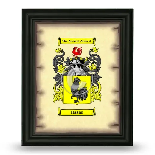 Haans Coat of Arms Framed - Black