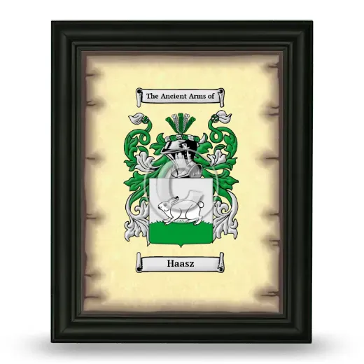 Haasz Coat of Arms Framed - Black