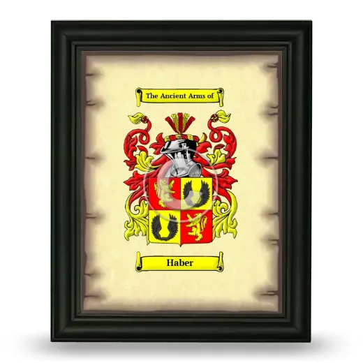 Haber Coat of Arms Framed - Black