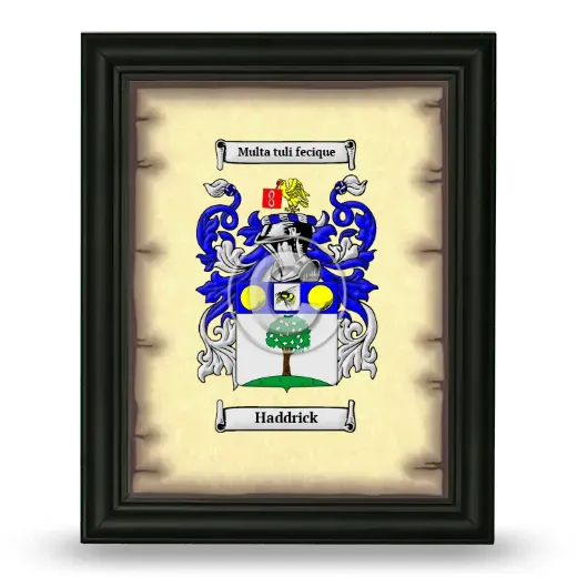 Haddrick Coat of Arms Framed - Black