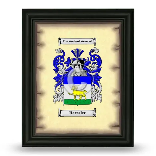 Haessler Coat of Arms Framed - Black