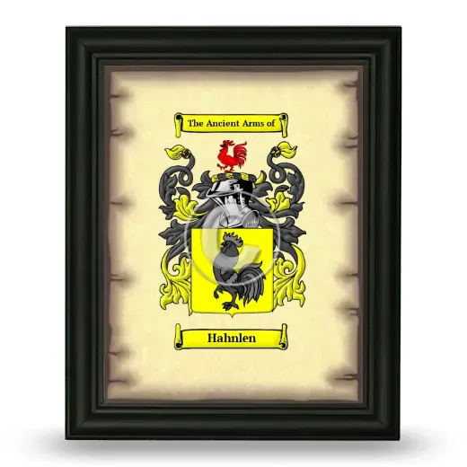 Hahnlen Coat of Arms Framed - Black