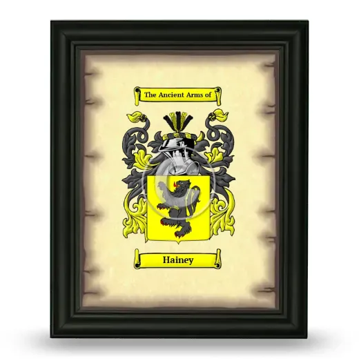 Hainey Coat of Arms Framed - Black