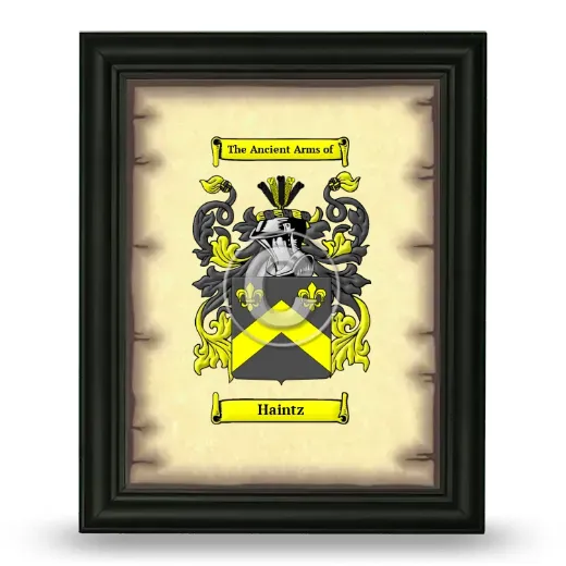 Haintz Coat of Arms Framed - Black