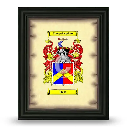Hale Coat of Arms Framed - Black
